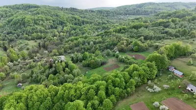 Продаж / Земля / ОСГ/ Орів / Дрогобицький / Львівська область — мініатюра фото 5