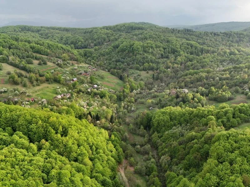 Продаж / Земля / ОСГ/ Орів / Дрогобицький / Львівська область — фото 6 з 12