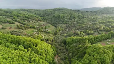 Продаж / Земля / ОСГ/ Орів / Дрогобицький / Львівська область — мініатюра фото 6