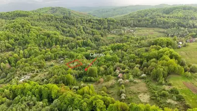 Продаж / Земля / ОСГ/ Орів / Дрогобицький / Львівська область — мініатюра фото 9
