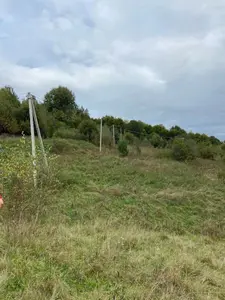 Продаж / Земля / ОСГ/ Орів / Дрогобицький / Львівська область — мініатюра фото 12