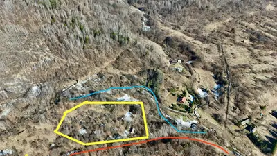 Продаж / Земля / ОСГ/ Верхнє Синьовидне / Стрийський, Львівська область — мініатюра фото 2