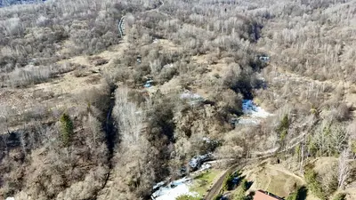 Продаж / Земля / ОСГ/ Верхнє Синьовидне / Стрийський, Львівська область — мініатюра фото 9