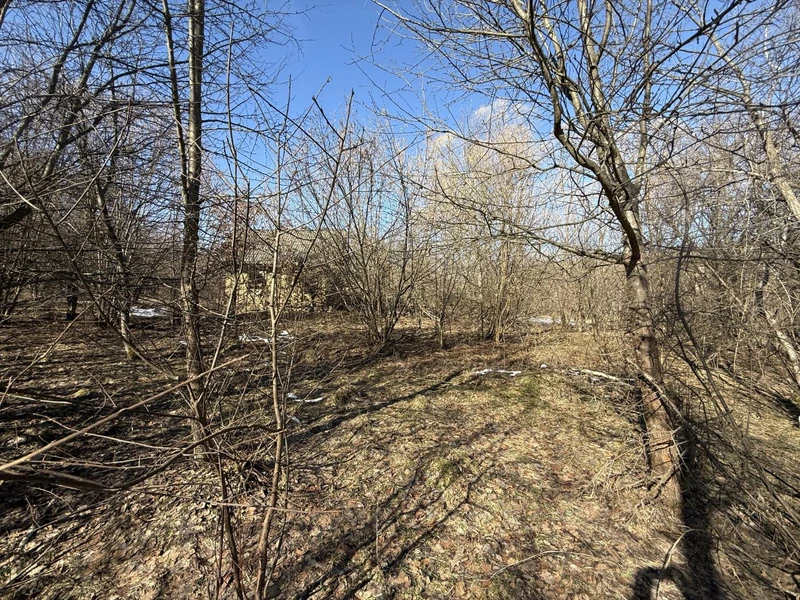 Продаж / Земля / ОСГ/ Верхнє Синьовидне / Стрийський, Львівська область — фото 14 з 15