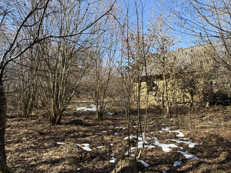 Продаж / Земля / ОСГ/ Верхнє Синьовидне / Стрийський, Львівська область — фото 15 з 15