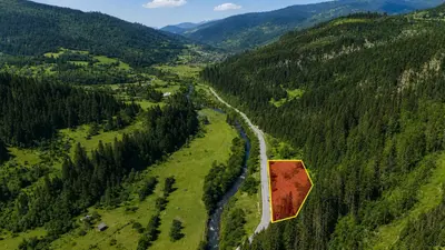 Продаж / Земля / ОСГ / Головецько ( Тухля) / Стрийський, Львівська область — мініатюра фото 2