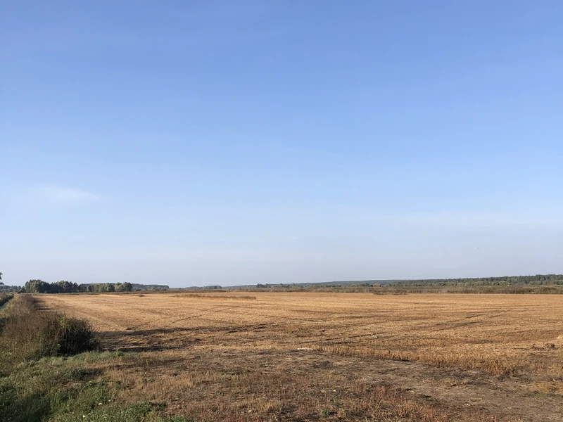 Гостомель продаж ділянки під ОСГ — фото 1 з 2