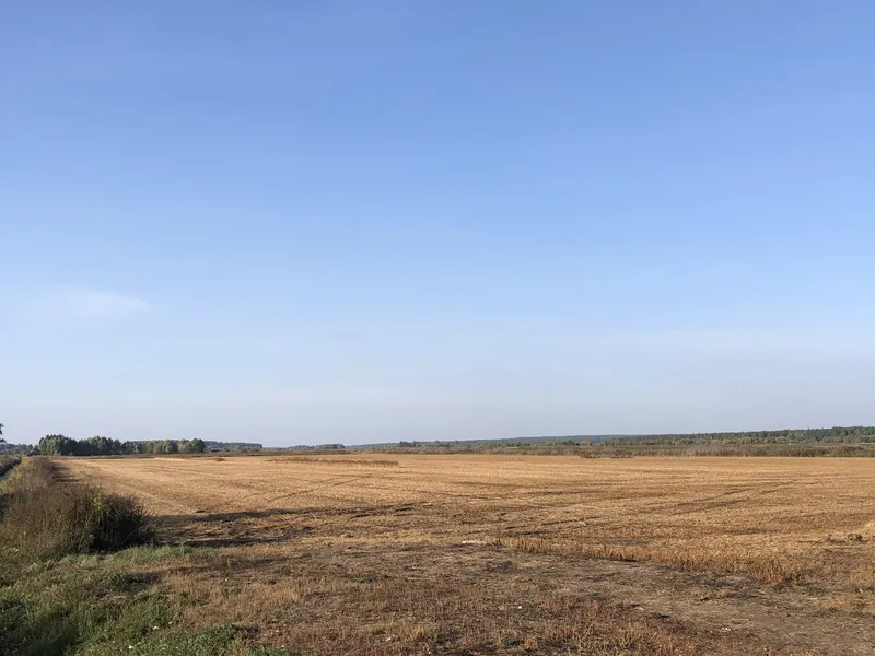 Гостомель продаж ділянки під ОСГ — фото 1 з 2