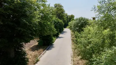 Продаж/земля/будівництво/Кожичі/Львівська область — мініатюра фото 3