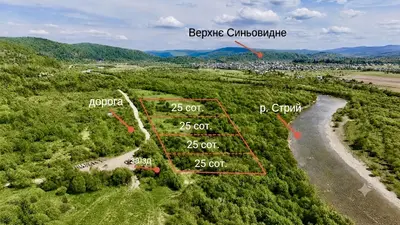 Продаж / Земля / ОСГ/ Верхнє Синьовидне / Стрийський/ Львівська — мініатюра фото 1