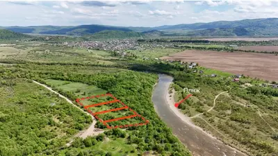 Продаж / Земля / ОСГ/ Верхнє Синьовидне / Стрийський/ Львівська — мініатюра фото 4