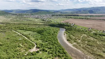 Продаж / Земля / ОСГ/ Верхнє Синьовидне / Стрийський/ Львівська — мініатюра фото 5