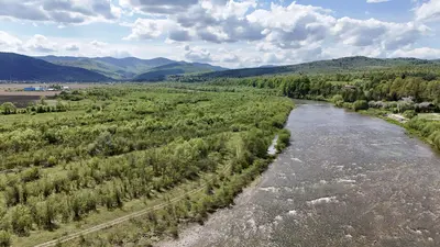 Продаж / Земля / ОСГ/ Верхнє Синьовидне / Стрийський/ Львівська — мініатюра фото 7