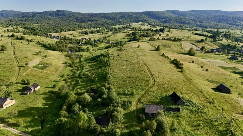 Продаж / Земля / ОСГ/ Нагірне / Стрийський, Львівська область — фото 3 з 7