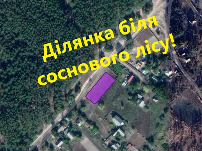 Ділянка біля лісу та річки Десна 10сот Вища Дубечня — фото 1 з 7