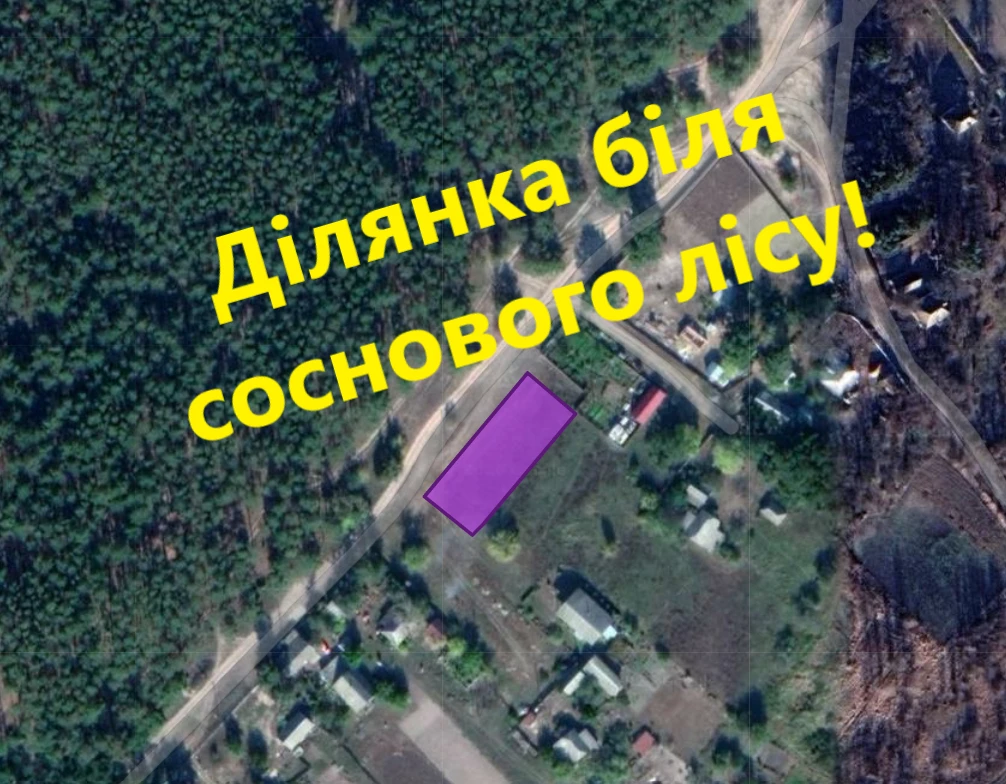 Ділянка біля лісу та річки Десна 10сот Вища Дубечня — фото 1 з 7