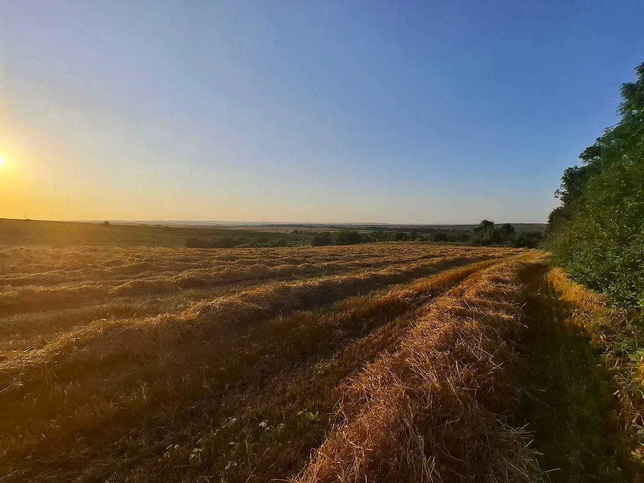 Ділянка, 1 га біля м. Ходорів — перша лінія від дороги! — фото 1 з 7