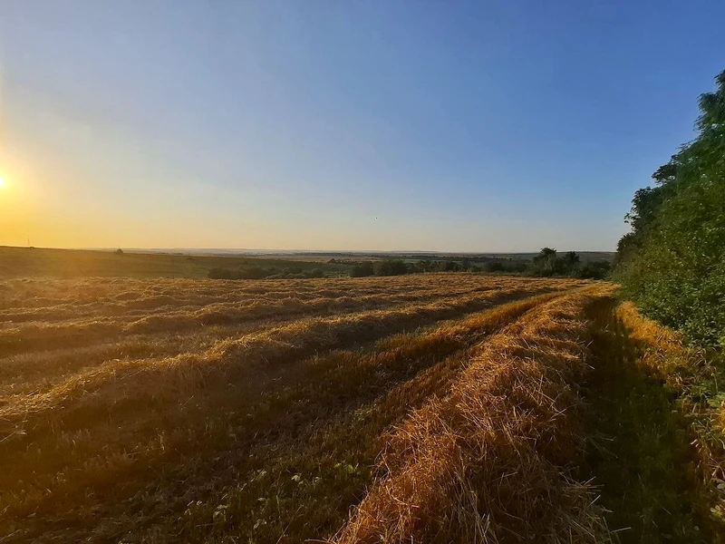 Ділянка, 1 га біля м. Ходорів — перша лінія від дороги! — фото 1 з 7