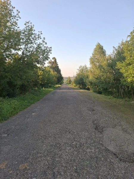 Ділянка, 1 га біля м. Ходорів — перша лінія від дороги! — фото 3 з 7