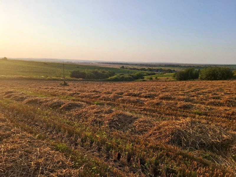 Ділянка, 1 га біля м. Ходорів — перша лінія від дороги! — фото 7 з 7
