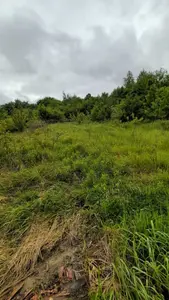 Ділянка під будівництво в с. Рибне біля лісу — мініатюра фото 4