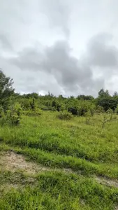 Ділянка під будівництво в с. Рибне біля лісу — мініатюра фото 8