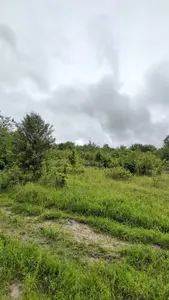 Ділянка під будівництво в с. Рибне біля лісу — мініатюра фото 9