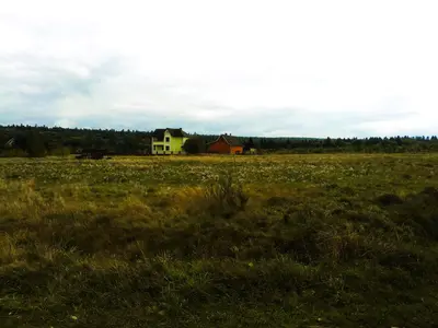 18 соток під житлову забудову — у с. Рибне (урочище «Росова дорога») — мініатюра фото 1