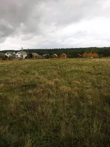 18 соток під житлову забудову — у с. Рибне (урочище «Росова дорога») — мініатюра фото 6
