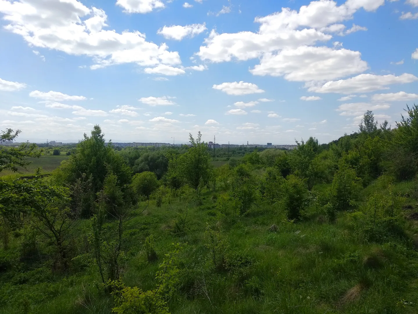Ділянка с. Підлужжя, вигляд на місто — фото 2 з 6