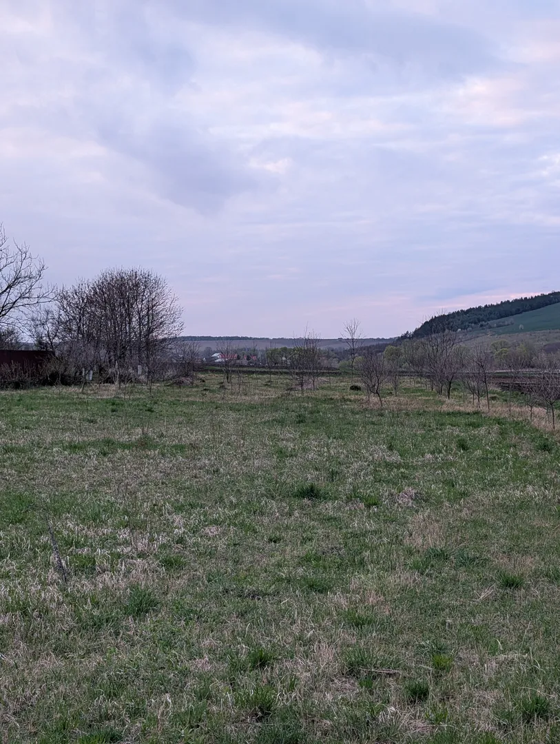 Простір, де вистачить місця для всього! 37 соток під Франківськом 🌳🏗️ — фото 4 з 7