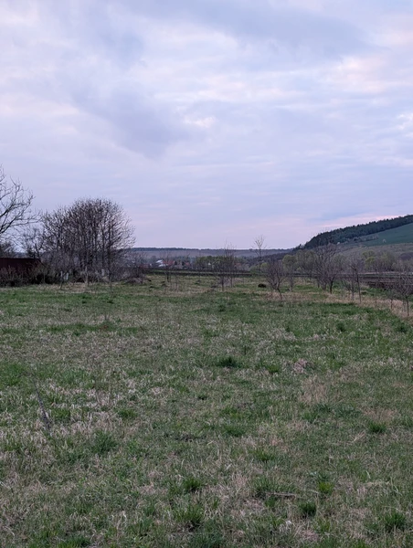 Простір, де вистачить місця для всього! 37 соток під Франківськом 🌳🏗️ — фото 4 з 7