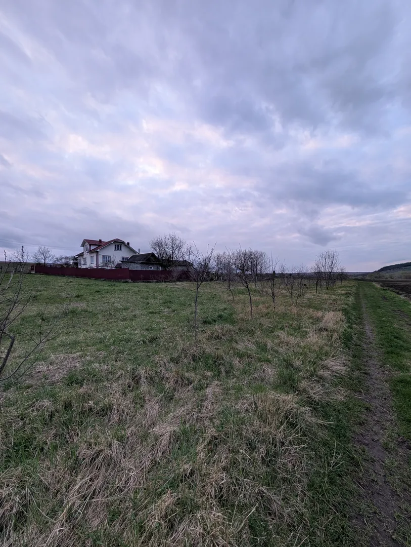 Простір, де вистачить місця для всього! 37 соток під Франківськом 🌳🏗️ — фото 5 з 7