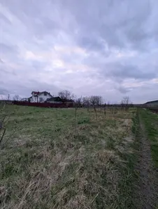 Простір, де вистачить місця для всього! 37 соток під Франківськом 🌳🏗️ — мініатюра фото 5