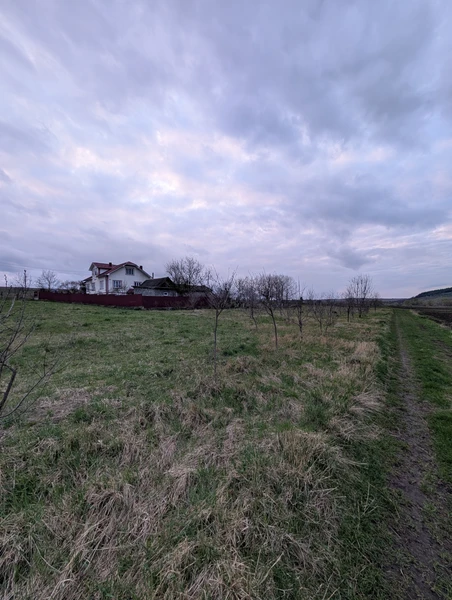 Простір, де вистачить місця для всього! 37 соток під Франківськом 🌳🏗️ — фото 5 з 7