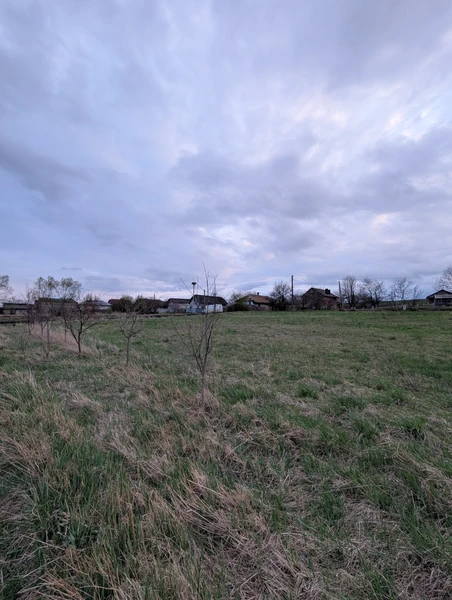 Простір, де вистачить місця для всього! 37 соток під Франківськом 🌳🏗️ — фото 6 з 7