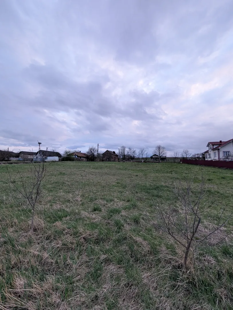 Простір, де вистачить місця для всього! 37 соток під Франківськом 🌳🏗️ — фото 7 з 7