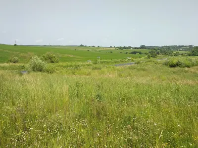Ділянка на межі с. Колодіївка і с. Вовчинець. Перша лінія — мініатюра фото 2