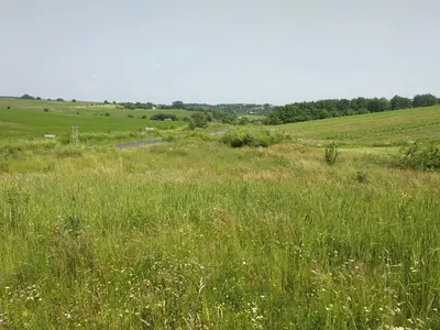 Ділянка на межі с. Колодіївка і с. Вовчинець. Перша лінія — мініатюра фото 3