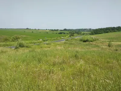 Ділянка на межі с. Колодіївка і с. Вовчинець. Перша лінія — мініатюра фото 4