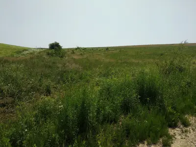 Ділянка на межі с. Колодіївка і с. Вовчинець. Перша лінія — мініатюра фото 5