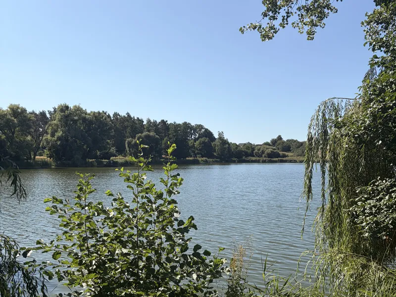 Продаж Блиставиця 5,4га ОСГ — фото 2 з 6