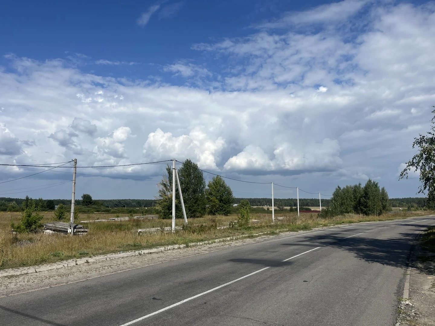 Продаж ділянки 75 соток — фото 2 з 5