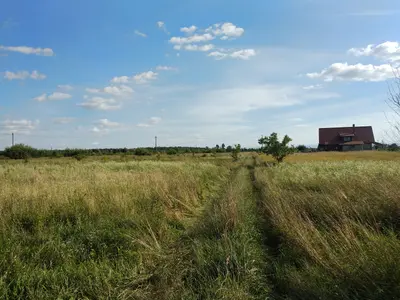 Ділянка у с. Черніїв, урочище 'за Оленoю Вовковою' — мініатюра фото 1