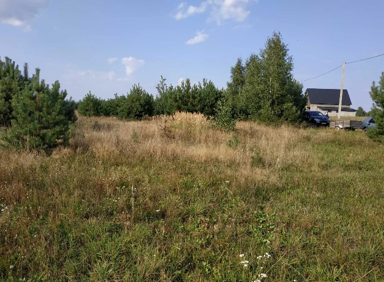 Продаж 25 соток під житлове будівництво — фото 2 з 6