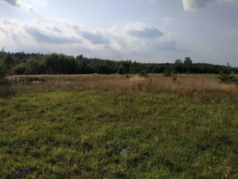Продаж 25 соток під житлове будівництво — фото 4 з 6