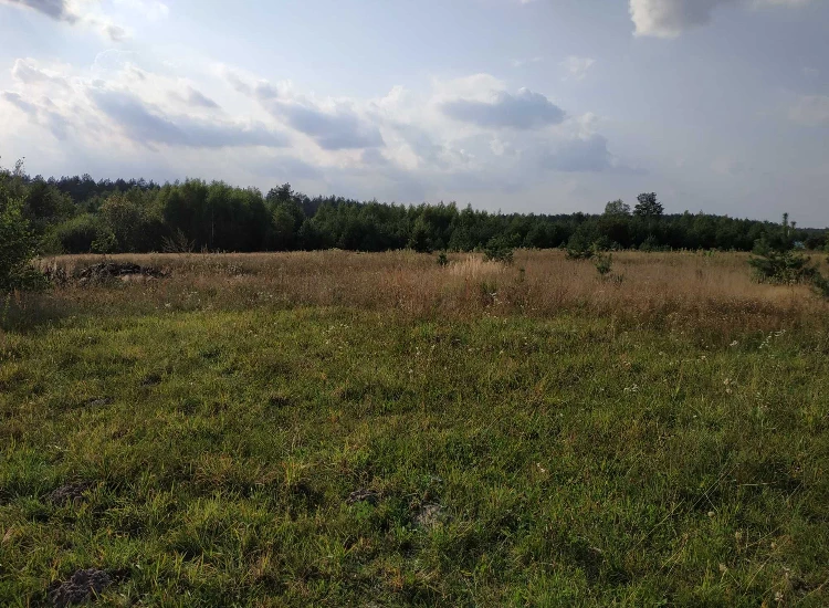Продаж 25 соток під житлове будівництво — фото 4 з 6
