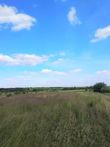 Ділянка у с. Черніїв, урочище 'за Оленoю Вовковою' — мініатюра фото 5