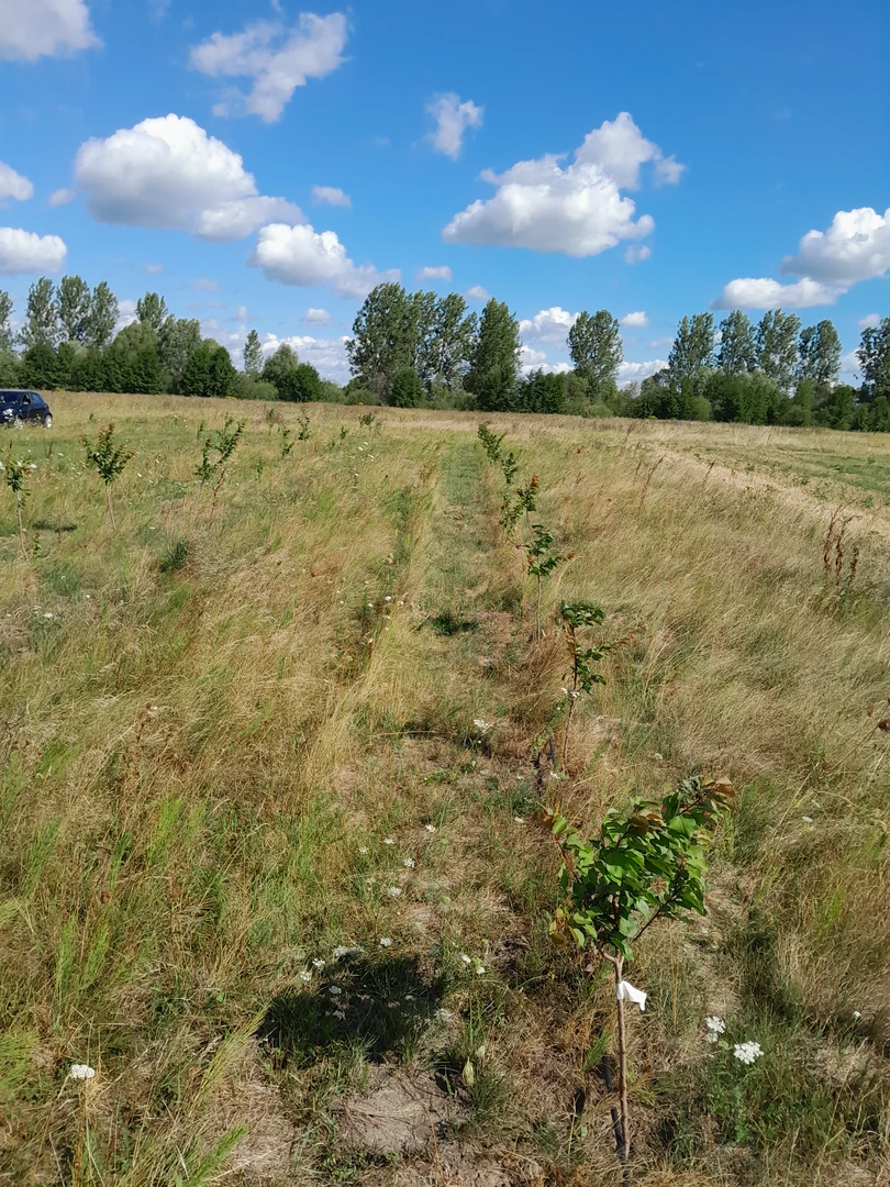  Рівненська область, Володимирецький район, Довговільська сільська рада — фото 1 з 1