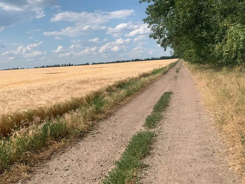 Приватизована дачна ділянка — фото 7 з 20